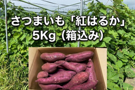 ★ご家庭用【紅はるか】有機資材で育てた極蜜さつまいも S~L混合5kg（箱込み）
