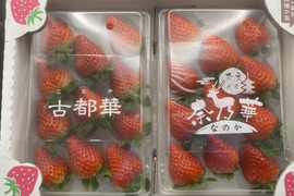 華の食べ比べセット🍓『古都華・奈乃華』11粒入り２パック