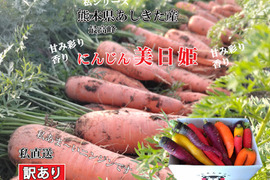 熊本県芦北産甘いフルーツにんじん「食べ比べ」【訳あり】詰め合わせ美日姫２キロ農薬不使用 化学肥料不使用 高品質にんじん 皮ごとサラダ ジュース  炒めても絶品  スティックやジュースで無限消費確定！