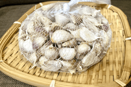 【訳あり】<令和7年産>くわはら農園のにんにく(嘉定種8片)バラ小粒500g　農薬・化学肥料不使用