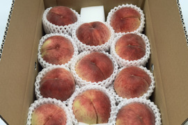 chariess　桃13玉×2箱　訳あり chariess 桃13玉×2箱 訳あり 味自慢桃【訳あり品】を