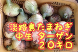 淡路島たまねぎ　【20キロ】　玉ねぎ　中生：ターザン
