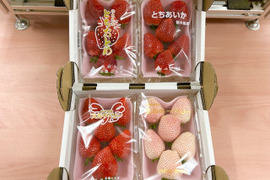 『フレーズの4種食べ比べセット』フレーズのこだわりいちご(4種各1パック)