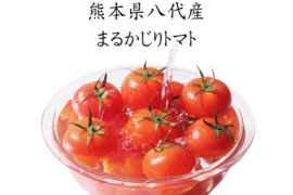 熊本県八代産　まるかじりトマト　４kg