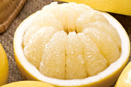 【家庭用10kg×2箱】濃厚ジューシー！潮風を浴びた高知県育ちの土佐文旦　南国みかん　オレンジ
