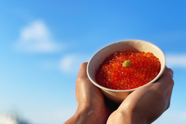 【定番！新物イクラ！】無添加秋鮭いくらの醤油漬け２４０ｇ（１２０ｇ×２）