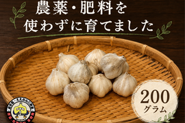 【自然農法で栄養満点】小ぶり にんにく⭐︎200g⭐︎尾道市産【農薬•肥料　不使用】