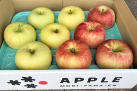 今が旬のりんご2種類食べ比べセット3kg 贈答用にもおすすめのキズなし良品りんご🍎🍏ネオニコフリー・化学肥料不使用・低農薬で特別栽培認証取得✨ギフト🎁おもてなしにもおすすめです😊