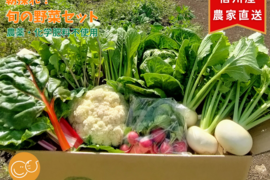 【農薬・化学肥料不使用☆】朝採れ新鮮野菜を信州の高原よりお届け！！旬の野菜セット７種（レギュラー）