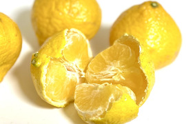 【愛媛で生まれた希少なお宝　媛小春】5kg（訳あり）