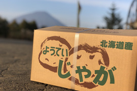 北海道産キタアカリ　10kg サイズ混合