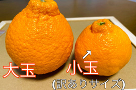 訳あり琥珀3kg(15個前後)