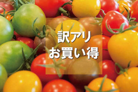 《訳アリお買い得》カラフルミニトマト(1.3㎏)