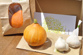 お得！「コリンキー」２個(約1kg）と「ニンニク」２個セット