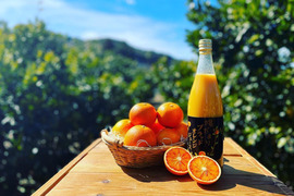 賞味期限2026年3月10日まで【希少！国産ブラッドオレンジ使用】陽だまりファーム　ブラッドオレンジジュース 　ストレート 100% （720ml×1本）