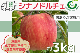 生産農家直送 りんご シナノドルチェ 訳あり家庭用 3kg 長野県産 信州りんご発祥の地 長沼りんご 産地直送 除草剤不使用 人にやさしく環境にもやさしい農産物