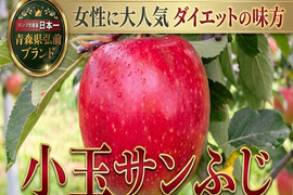 🍎日テレDayDay出演話題沸騰🍎女性に選ばれる食べる腸活“ちょうどいい『小玉サンふじ』お試し特価キャンペーン約11～13個