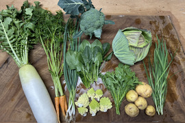 カラダ元気に！　　野菜セット