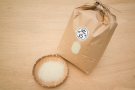 採れたて！新鮮ダークオパールバジル 200g 【農薬化学肥料不使用