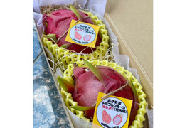 ★激レア品種★採れたて新鮮‼︎甘さしっかり‼︎ドラゴンフルーツ(桃肉種-ダークスター-) 1kg