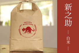 【令和7年産 新米予約】つやつや大粒！金匠受賞農家の「新之助・白米10㎏」新潟米
