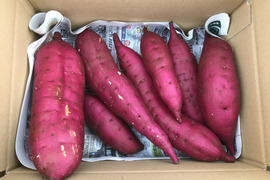 落ち着く甘さ ♪ 紅はるか (1kg)