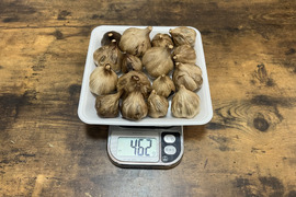 32 自然栽培　黒にんにく 人気　サイズいろいろたっぷり16個　令和4年度新物　食べやすくて美味しい