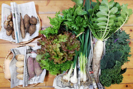 【農薬化学肥料不使用】おまかせ野菜セット【８種類以上の野菜】【金曜日発送】【熨斗(のし)対応可】【８０サイズ箱】