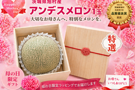 【母の日ギフト】茨城県旭産アンデスメロン【特秀】1玉