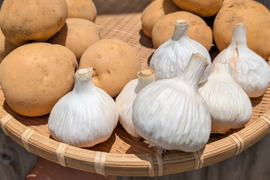 【福袋2025】夏の新じゃが２品種とニンニクのセット4.5KG　（ニシユタカ２KG、普賢丸２KG、にんにく500g） 食べチョク八周年記念企画/農薬・化学肥料不使用