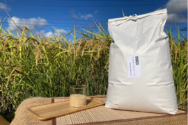 【新米】R5:ミルキークイーン玄米9kg（農薬不使用のお米）