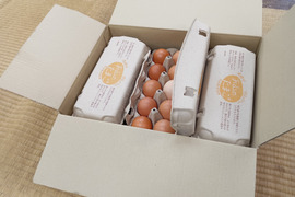 一滴でも美味しい！お山のたまご10個入り×6パック