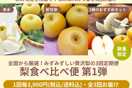 【限定300セット】梨食べ比べ便第１弾※送料込※（食べチョク公式）
