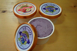 果汁たっぷりアイスクリーム10個セット〔ブルーベリー５個りんご５個入〕