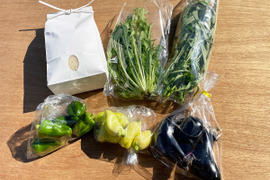 【農薬・化学肥料不使用】ひのひかり新米2kg、野菜セット