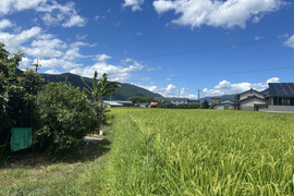 新米　5kg