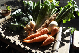 旬をギュッと詰め合わせ！自然農の野菜セットSサイズ｜6種前後