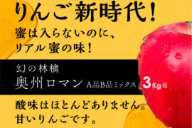 満点青空レストランで話題です🍎【りんごの概念変わります】奥州ロマン 3キロ箱 6玉〜15玉サイズ　長野県 信州 安曇野 リンゴ 幻  希少 旬 甘い 幻の林檎  ID52109