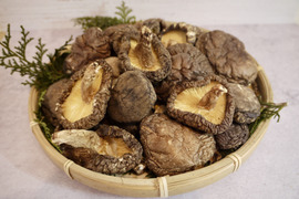 【採れたて秋子】うまみ濃厚！大分県産「原木栽培」干し椎茸50g