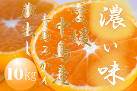 濃厚完熟　蔵出し　青島みかん　優品・１０ｋｇ