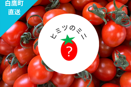 お問合せ多数！秘密にしたい?!ミニトマト『ヒミツのミニ』約1kg（250gx4p）