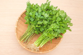 【セット】採れたて！新鮮イタリアンパセリ200g + パクチー200g【農薬化学肥料不使用】