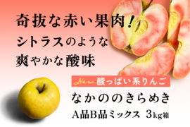 【幻の林檎】NEWすっぱい系！ なかののきらめき 3キロ箱 6玉〜15玉サイズ ID173708 長野県 信州 安曇野 リンゴ 幻 幻のリンゴ 予約 希少 旬