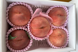 まるせい果樹園の桃【まどか】1.6㎏　化粧箱　贈答用　(4～7玉入り)　mm1