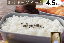 ミルキークイーン　4.5kg 静岡県産　令和4年度　白米　　のし対応可