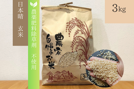 《農薬不使用・肥料除草剤不使用》お日さまたっぷりのお米『日本晴』【玄米】3kg・2025年和歌山県産