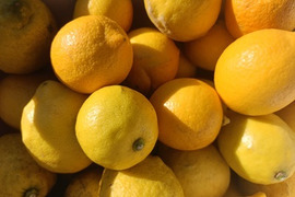 農薬不使用 広島県 瀬戸田レモン 5kg (35～45個) | 完熟 自然農 無肥料 防腐剤不使用