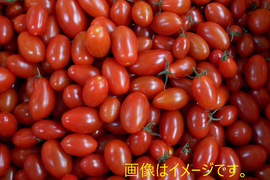 【訳あり】島根県江津市産　笑ちゃんトマト　１ｋｇ+スパルタ生まれのひみこ（ミニトマト）１ｋｇ
