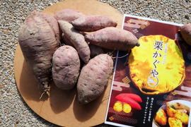 【新品種！栗かぐや】土付き！さつまいも3キロ2200円！