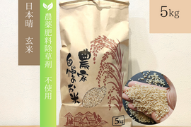 《農薬不使用・肥料除草剤不使用》お日さまたっぷりのお米『日本晴』【玄米】5kg・2025年和歌山県産